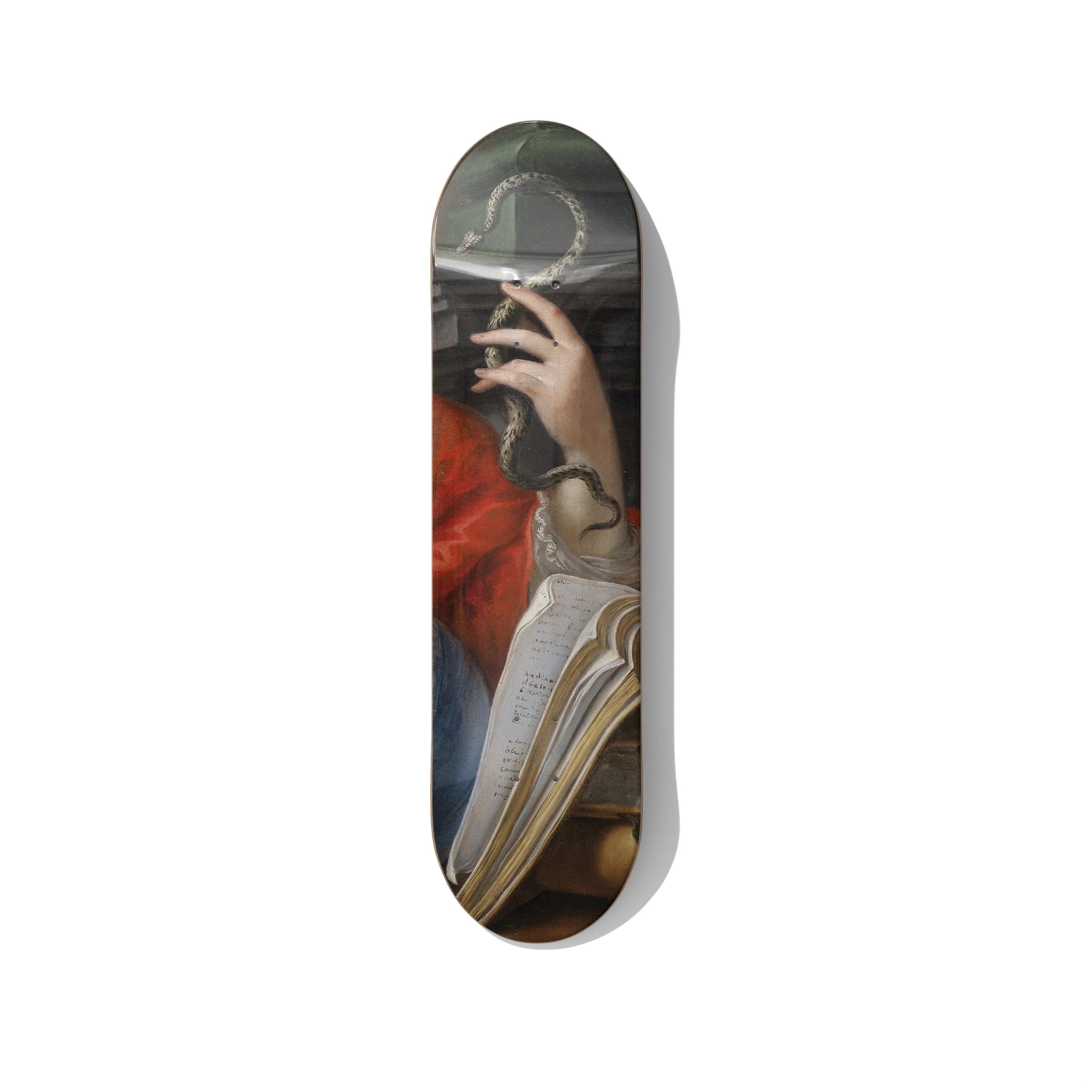Serpent Scholar Skateboard Deck Wall Art - Premium Canadian Maple
