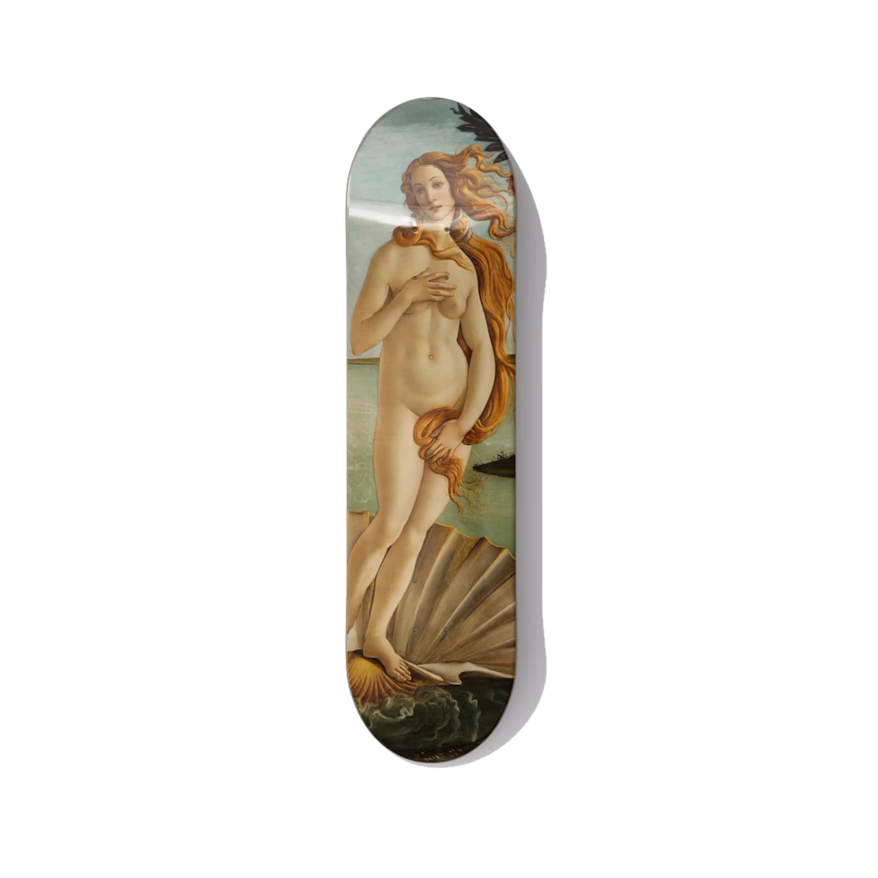 Botticelli's Birth of Venus Skateboard Wall Art - Premium Canadian Maple Deck