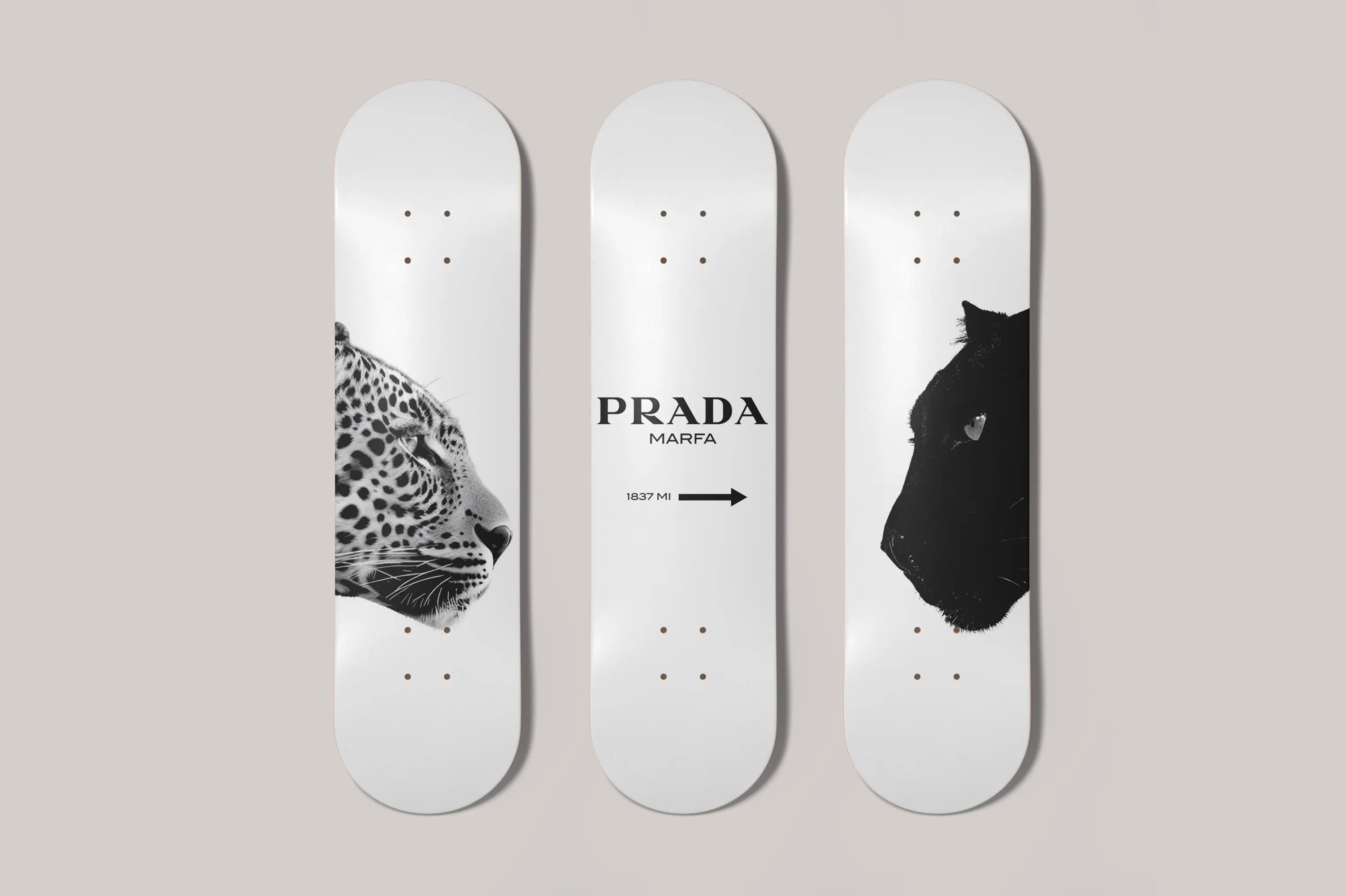 Skateboard Wall Art